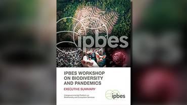 Cover: IPBES WORKSHOP ON BIODIVERSITY AND PANDEMICS