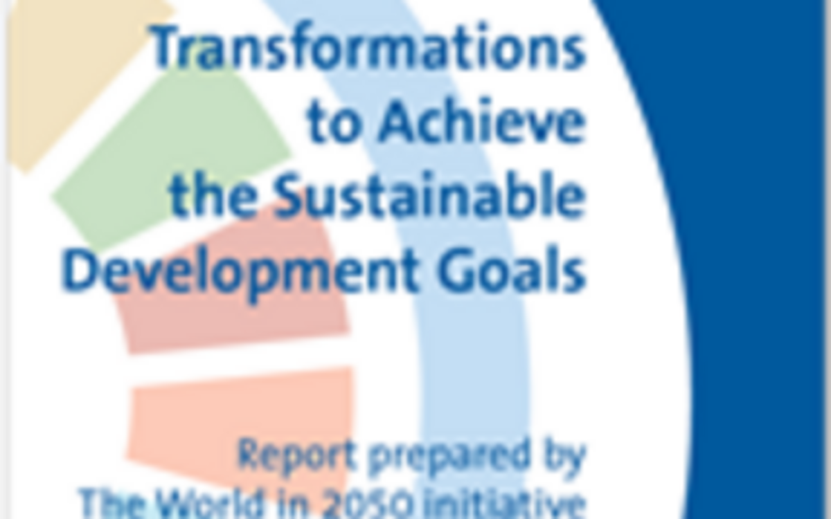 Six steps to achieving the Sustainable Development Goals | Peer 2025