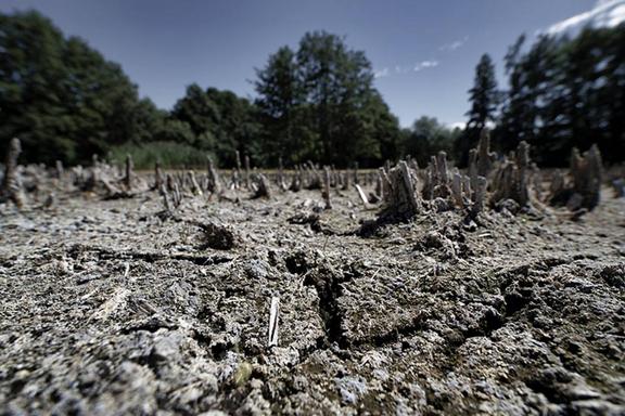 Drought in Central Europe. Dried up field North of Leipzig, Germany. Photo: André Künzelmann/UFZ