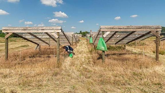 The UFZ research station Bad Lauchstädt is part of the DroughtNet network with more than 100 stations worldwide. Source: UFZ