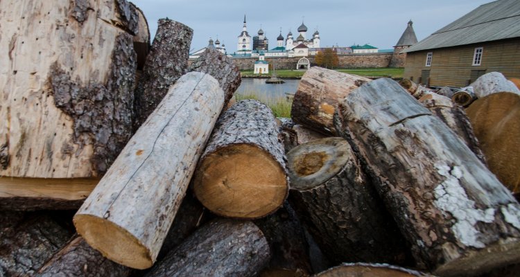 Wood in Russia. Source: Wageningen University Research